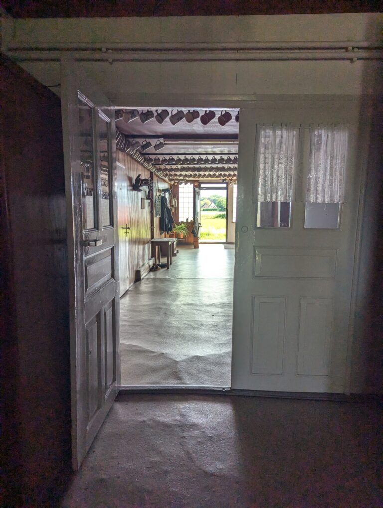 PXL_20240727_150738345