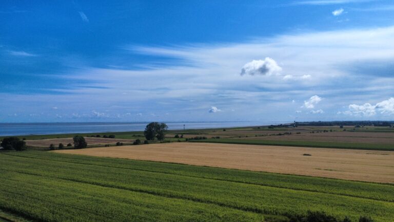 Elbblick