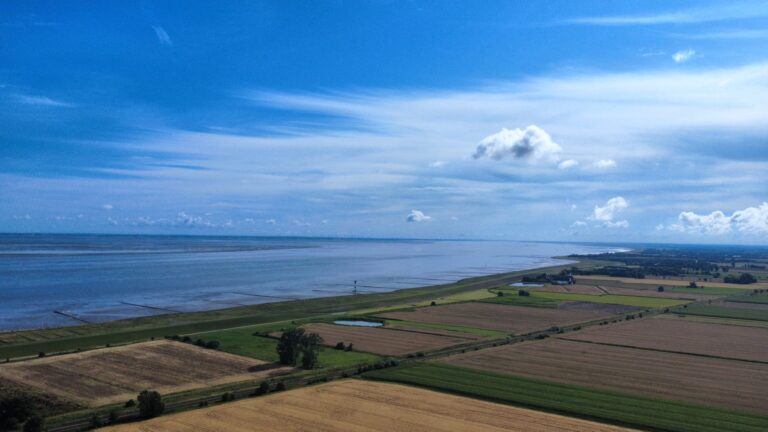 Elbblick2